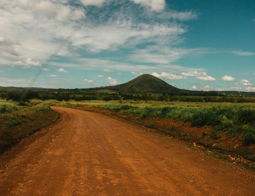 A guide to wildlife areas in Tanzania