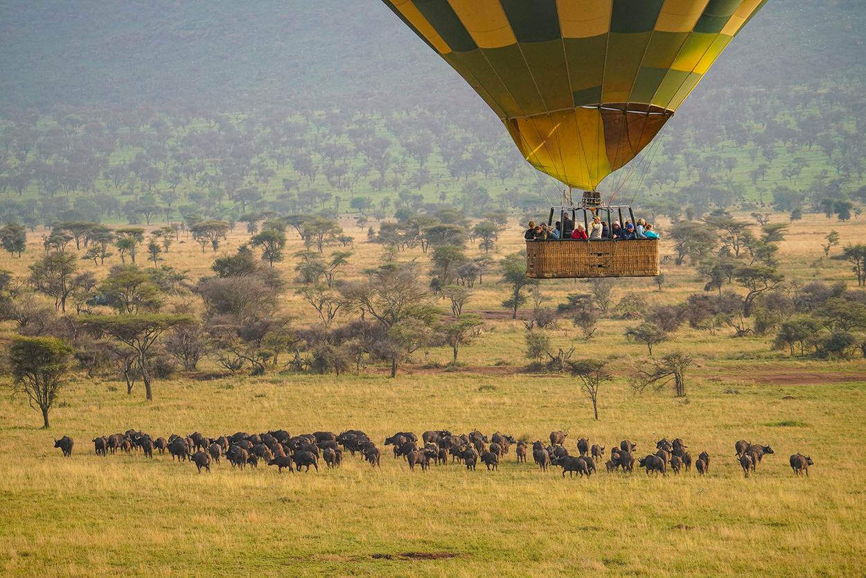 Serengeti-2000px-53