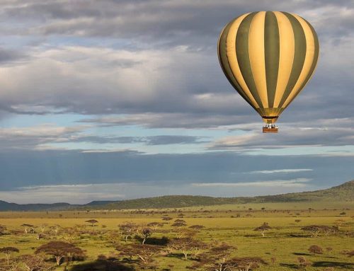 Serengeti From the sky